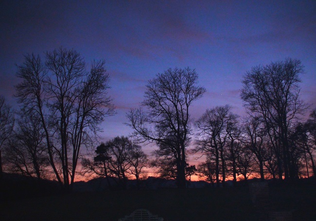 Sunset through the park trees