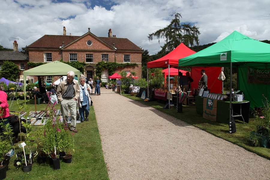 The plant fair on the lawn